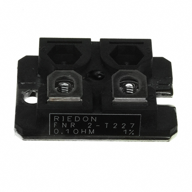 FNR2E-0R1F1 Riedon  Chassis Mount Resistors